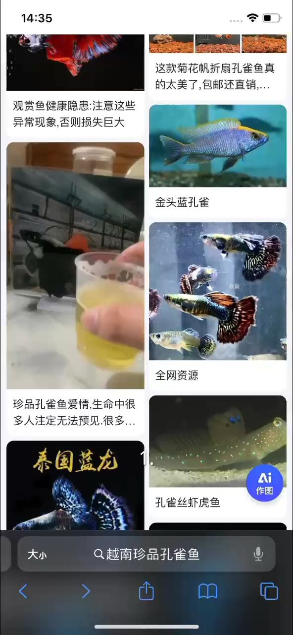 1.震驚！全網都在找的珍品孔雀魚，終于被我挖到了！獨特紋理、夢幻色彩，養它讓你成為水族圈頂流！
2.百度都在找的珍品孔雀魚現身！珍稀品種，自帶絕美花色，養魚小白也能輕松上手，爆改你的水族箱！
3.家人們誰懂啊！百度都在搜的珍品孔雀魚，我這兒有！純種血統，花色獨一無二，養它讓你家秒變海底宮殿！#孔雀魚