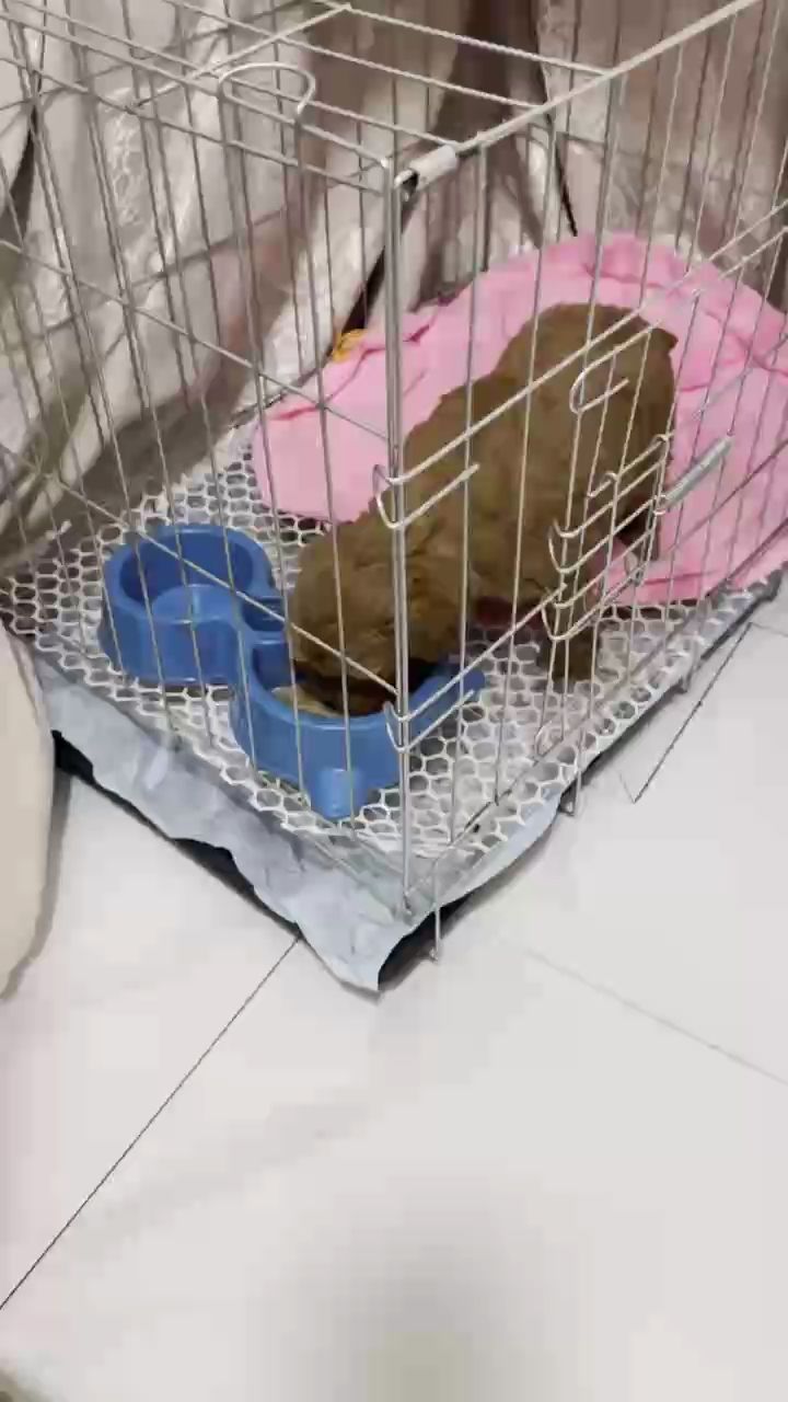 到家第二天