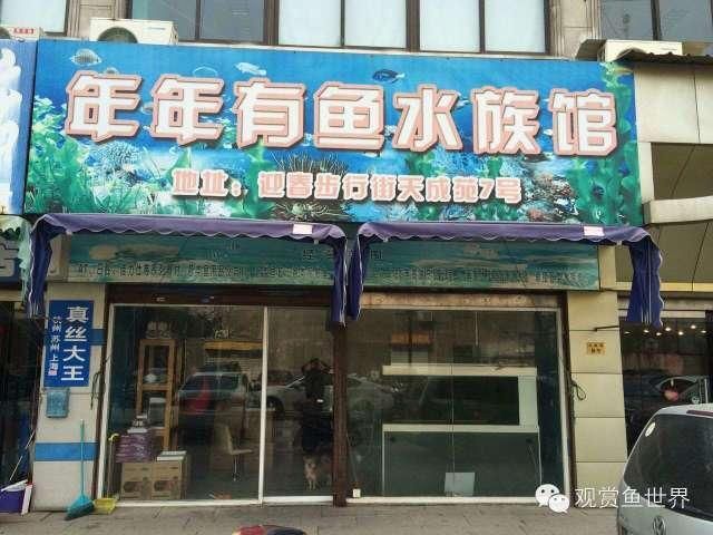 想開個水族館賺錢嗎現在怎么樣(開設水族館市場競爭優勢分析水族館市場競爭優勢分析) 水族館百科(水族館加盟) 第4張 想開個水族館賺錢嗎現在怎么樣(開設水族館市場競爭優勢分析水族館市場競爭優勢分析) 想開個水族館賺錢嗎現在怎么樣(開設水族館市場競爭優勢分析水族館市場競爭優勢分析) 水族館百科(水族館加盟) 第4張