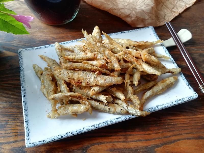 觀賞魚小白魚（養護小白魚需要注意以下幾點，適合初學者養護小白魚）
