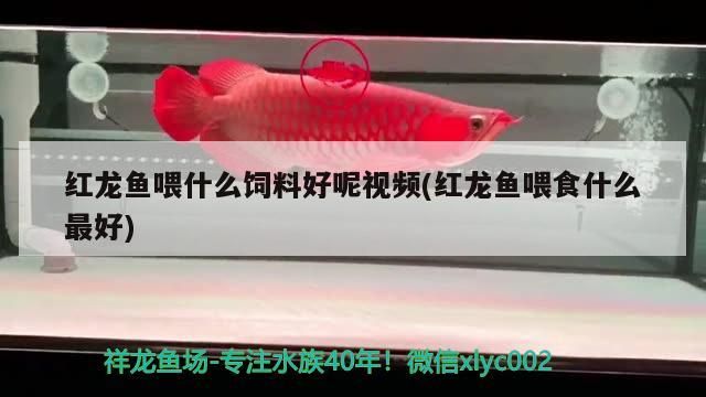 廣州市荔灣區酷釣師漁具店