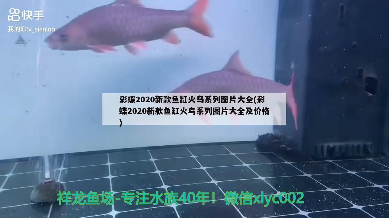 龍魚養殖和興龍魚有多少個品牌及和興龍魚的詳細描述品牌品牌，和興龍魚有多少個品牌情況及牌？