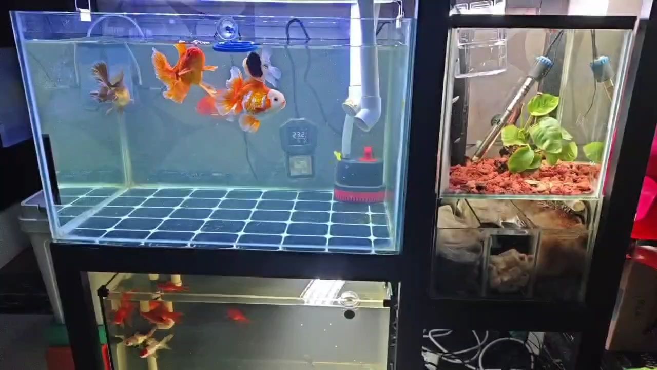 一套組合缸