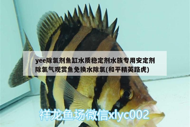 yee除氯劑魚缸水質(zhì)穩(wěn)定劑水族專用安定劑除氯氣觀賞魚免換水除氯(和平精英路虎)