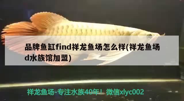 魚缸用增氧泵價格是多少:魚缸增氧機-xtrac增氧機-xtrac增氧機 品牌魚缸find祥龍魚場怎么樣(祥龍魚場d水族館加盟) vs祥龍魚場 品牌魚缸find祥龍魚場怎么樣(祥龍魚場d水族館加盟) 品牌魚缸find祥龍魚場怎么樣(祥龍魚場d水族館加盟) vs祥龍魚場