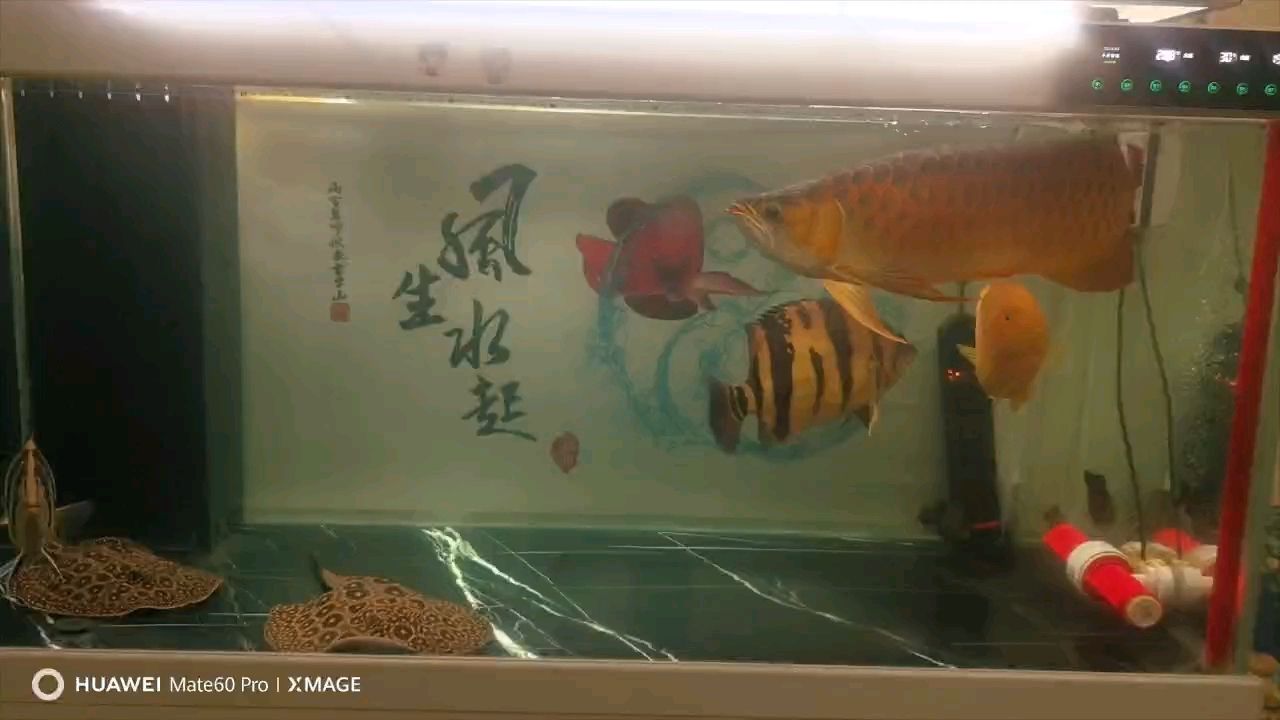 一年零10個(gè)月，記錄一下。