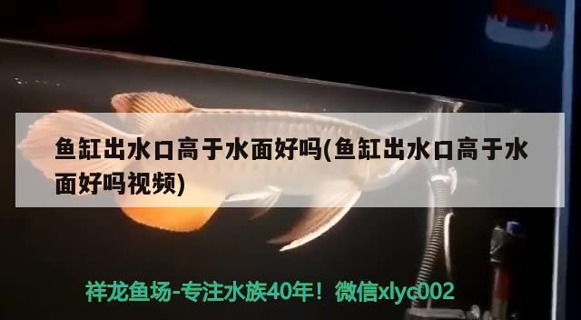 一歲半的李亞四