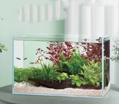 yee牌魚缸是十大品牌：yee品牌魚缸在官方排行榜中沒有進入十大品牌之列