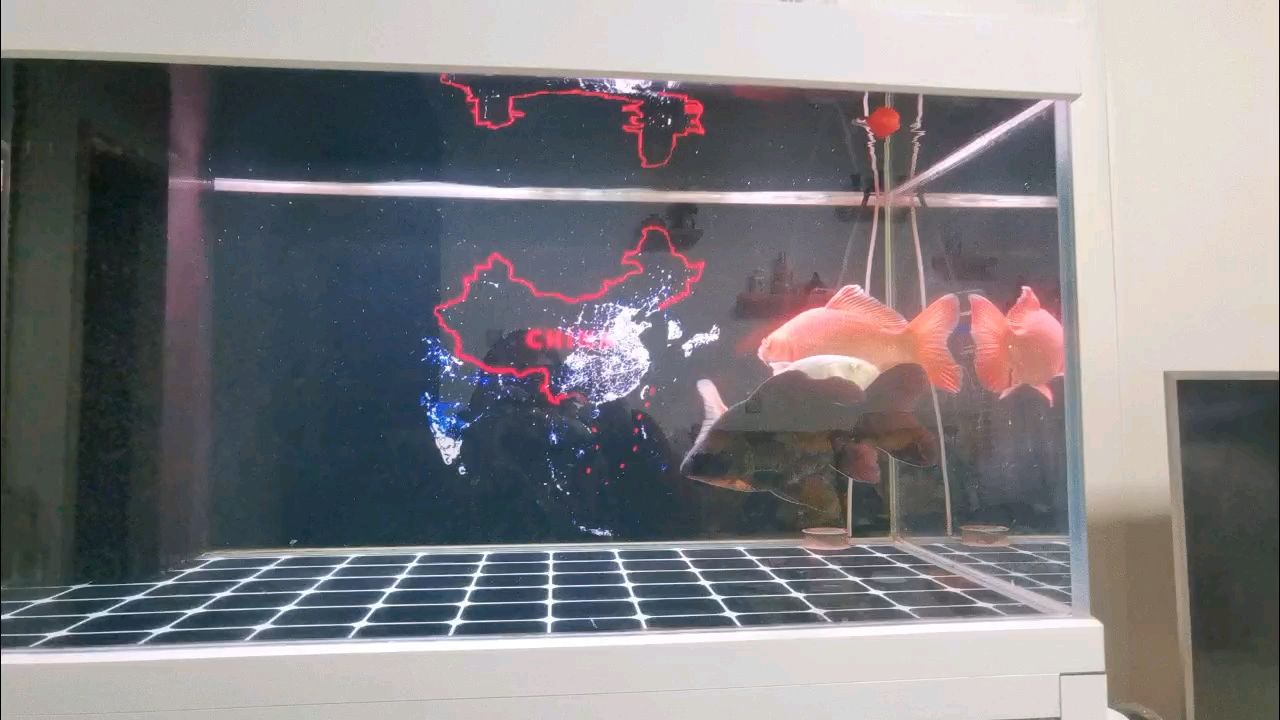 [baobao][baobao]