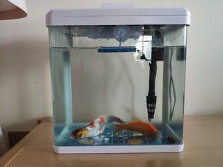 yee意牌魚缸官網：yee意牌魚缸官網提供了一系列產品和服務，用戶可以享受到官方支持