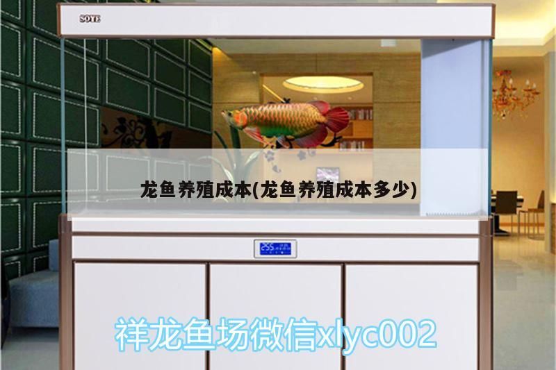 世界上最大的金龍魚視頻大全 最大的金龍魚圖片