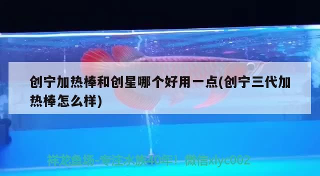 創寧加熱棒和創星哪個好用一點(創寧三代加熱棒怎么樣) 創寧加熱棒和創星哪個好用一點(創寧三代加熱棒怎么樣) 創寧水族