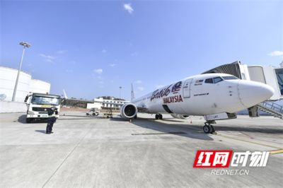 馬印燈和樂迪燈哪個效果好些：馬印燈和樂迪燈哪個效果好