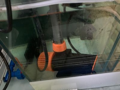 一方水族器材怎么樣好用嗎:一方水族器材在公司管理、企業(yè)文化、技術(shù)研發(fā)和市場(chǎng)認(rèn)可度等表現(xiàn) 一方水族 第2張 一方水族器材怎么樣好用嗎:一方水族器材在公司管理、企業(yè)文化、技術(shù)研發(fā)和市場(chǎng)認(rèn)可度等表現(xiàn) 一方水族器材怎么樣好用嗎:一方水族器材在公司管理、企業(yè)文化、技術(shù)研發(fā)和市場(chǎng)認(rèn)可度等表現(xiàn) 一方水族 第2張