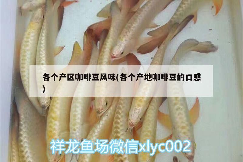 各個(gè)產(chǎn)區(qū)咖啡豆風(fēng)味(各個(gè)產(chǎn)地咖啡豆的口感)
