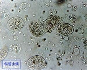 韶關(guān)可麗愛(ài)魚(yú)缸專賣店：韶關(guān)可麗愛(ài)魚(yú)缸專賣店，打造水族世界的藝術(shù)殿堂 韶關(guān)可麗愛(ài)魚(yú)缸專賣店：韶關(guān)可麗愛(ài)魚(yú)缸專賣店，打造水族世界的藝術(shù)殿堂 iwish愛(ài)唯希品牌魚(yú)缸 第1張