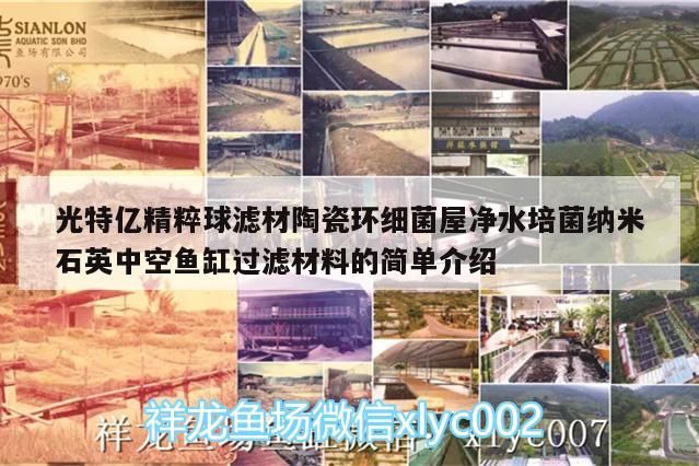 龍魚干蝦有營養(yǎng)嗎 光特億精粹球?yàn)V材陶瓷環(huán)細(xì)菌屋凈水培菌納米石英中空魚缸過濾材料的簡(jiǎn)單介紹 光特億 光特億精粹球?yàn)V材陶瓷環(huán)細(xì)菌屋凈水培菌納米石英中空魚缸過濾材料的簡(jiǎn)單介紹 光特億精粹球?yàn)V材陶瓷環(huán)細(xì)菌屋凈水培菌納米石英中空魚缸過濾材料的簡(jiǎn)單介紹 光特億
