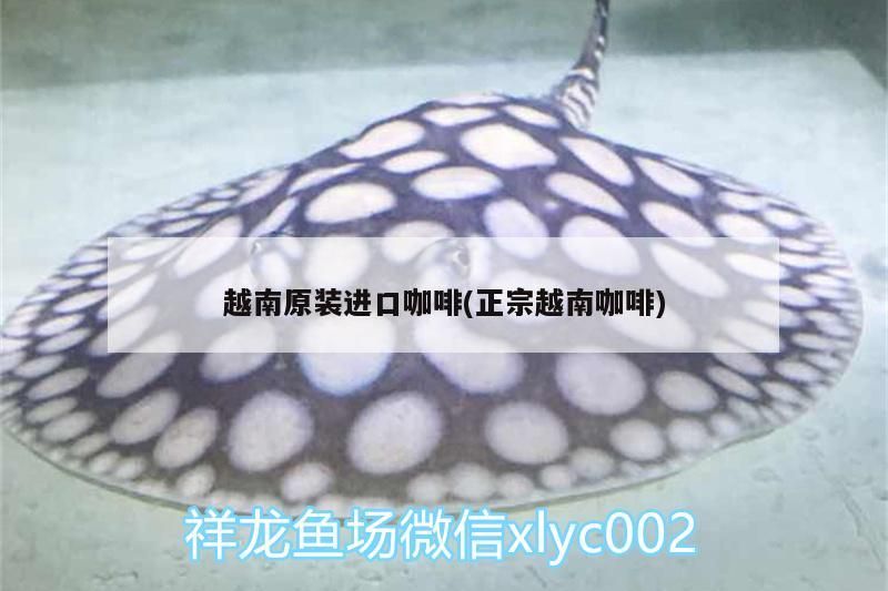 越南原裝進口咖啡(正宗越南咖啡)