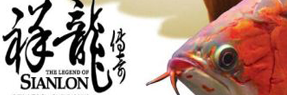韶關(guān)水族館孟吉爾～孟吉爾紅外線F1平頭 韶關(guān)水族館孟吉爾～孟吉爾紅外線F1平頭 廣州孟吉爾 第1張