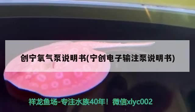 魚缸過濾器選購指南:自制魚缸過濾器魚缸上置過濾器對于養魚愛好者的必備知識 創寧氧氣泵說明書(寧創電子輸注泵說明書) 創寧水族 創寧氧氣泵說明書(寧創電子輸注泵說明書) 創寧氧氣泵說明書(寧創電子輸注泵說明書) 創寧水族