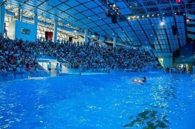 水族館的名字有哪些（水族館名字的創(chuàng)意與選擇） 水族館的名字有哪些（水族館名字的創(chuàng)意與選擇） 水族館百科（水族館加盟） 第1張