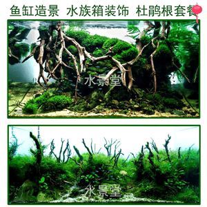 龍魚缸放什么石頭好，龍魚缸中適合放置的石頭有哪些