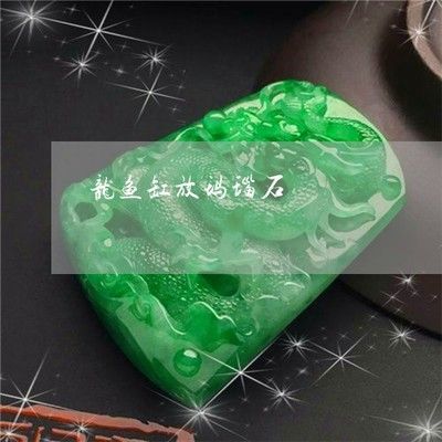 龍魚缸放什么石頭好，龍魚缸中適合放置的石頭有哪些