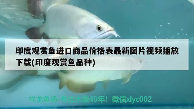 中山市日勝電器魚缸過濾器（日盛魚缸過濾器）