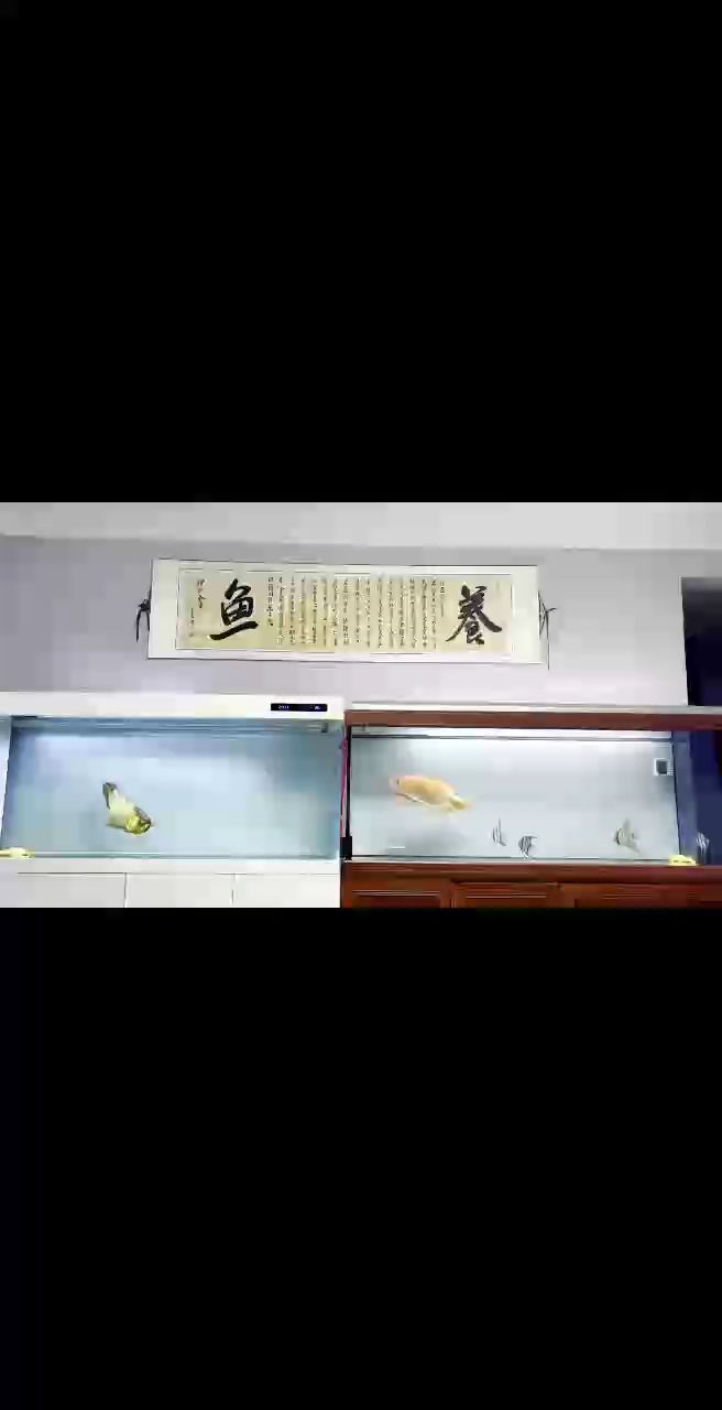 斯是陋室，惟吾德馨