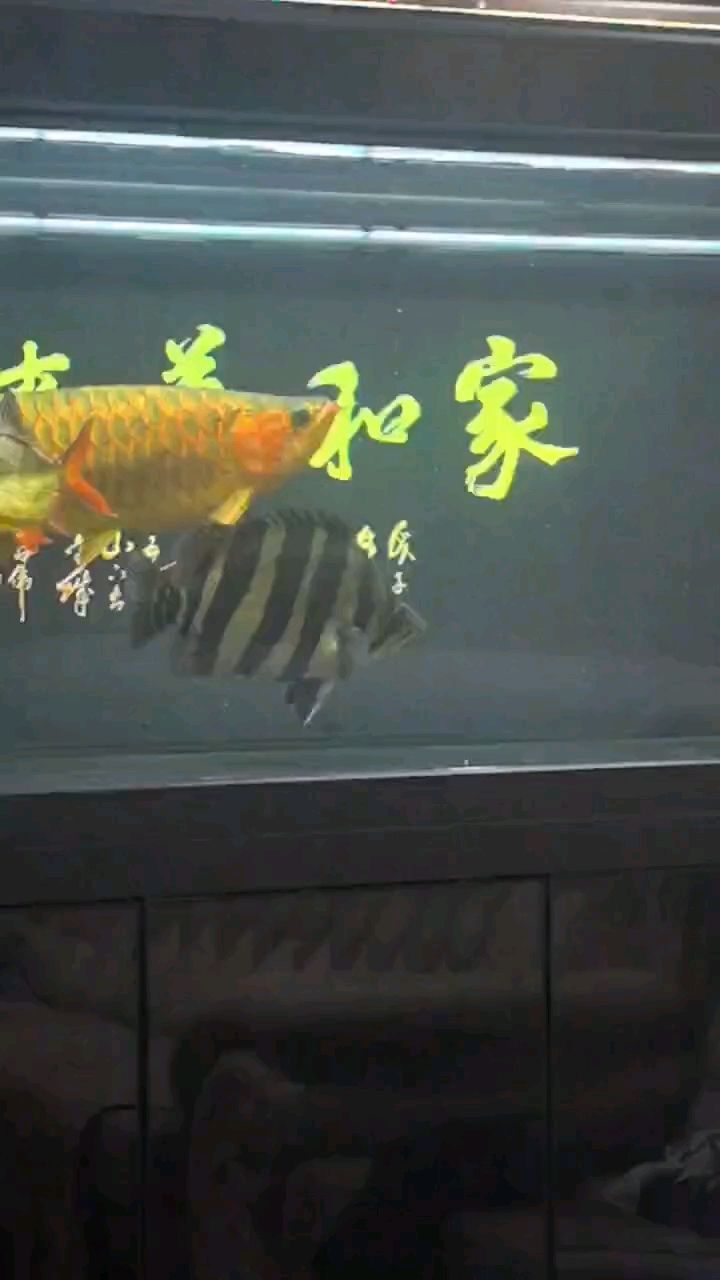 學壞了