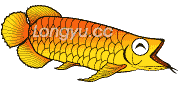 龍魚吃了一個大白片會怎么樣vs祥龍魚場：丑魚病龍魚吃了一個大白片會怎么樣