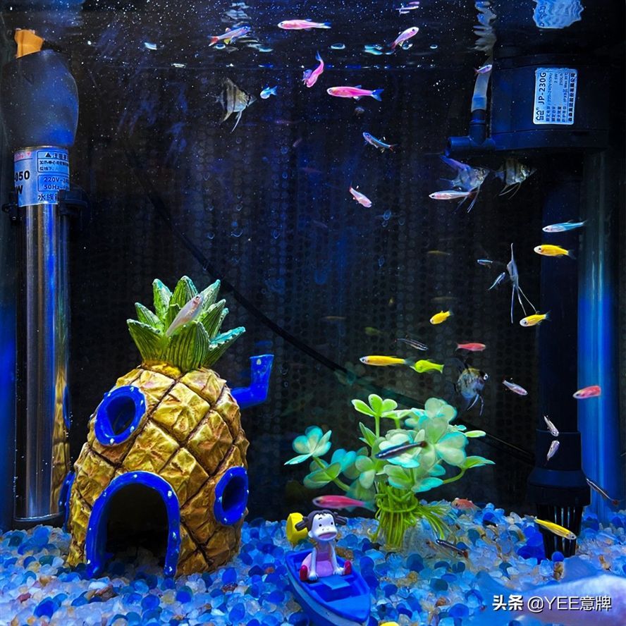 yee意牌水族官網：yee意牌/yee意牌/yee意牌水族官網