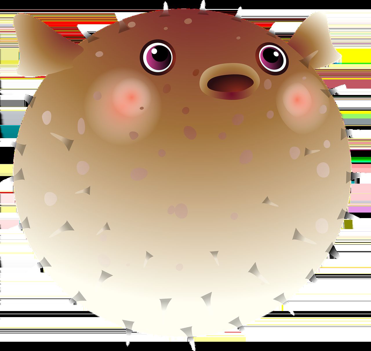 魚缸 龍魚什么是掉眼的(龍魚怎么會掉眼) 龍魚之家 龍魚什么是掉眼的(龍魚怎么會掉眼) 龍魚什么是掉眼的(龍魚怎么會掉眼) 龍魚之家