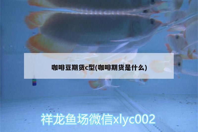 咖啡豆期貨c型(咖啡期貨是什么)
