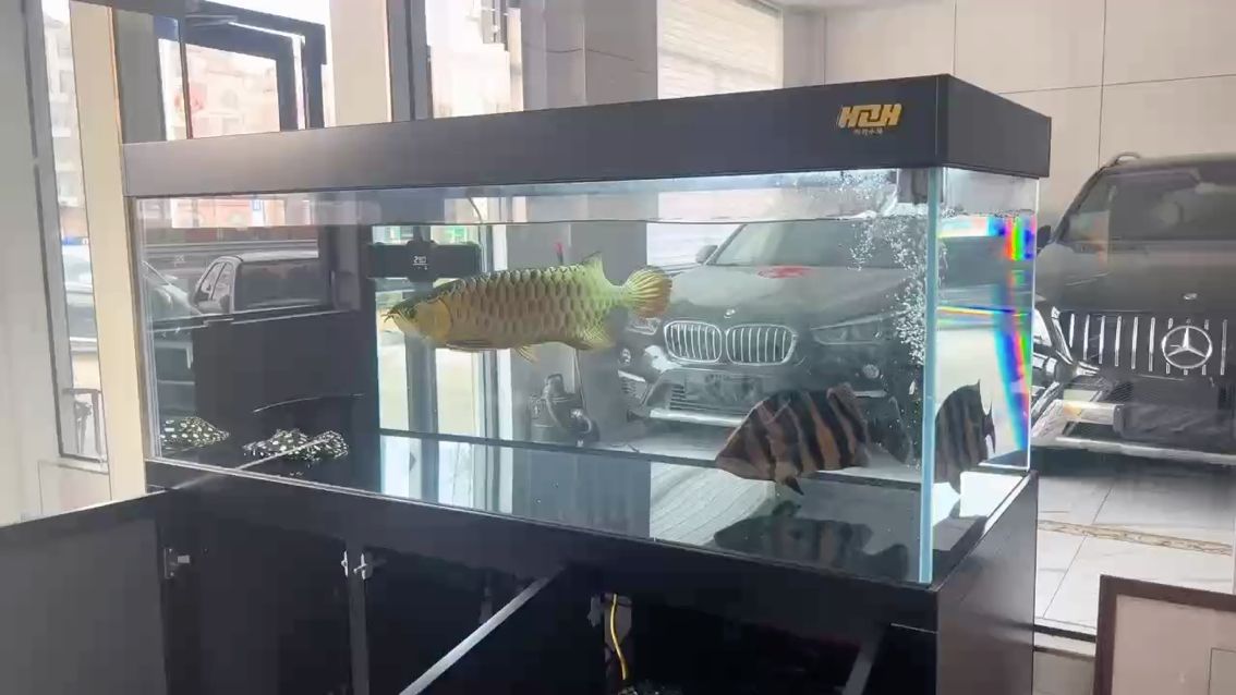 兄弟 如果忍不住想買魚 你們都是如何控制自己的雙手的