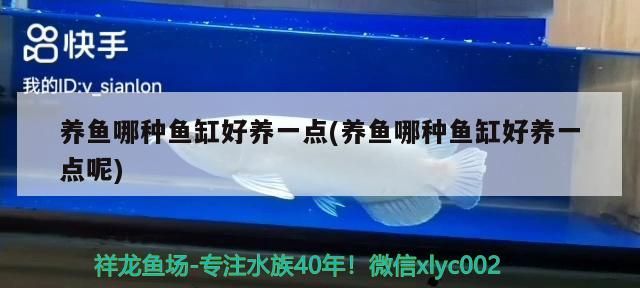 養(yǎng)魚哪種魚缸好養(yǎng)一點(養(yǎng)魚哪種魚缸好養(yǎng)一點呢)