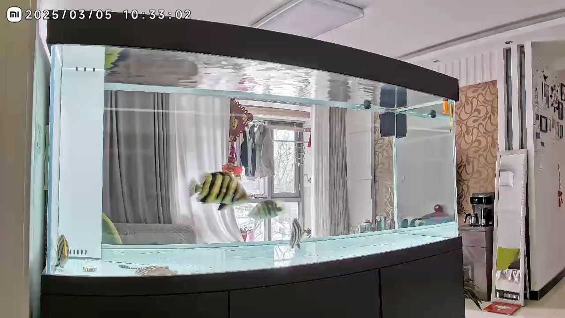 魚缸用增氧泵價(jià)格是多少:魚缸增氧機(jī)-xtrac增氧機(jī)-xtrac增氧機(jī) 我的新玩具今天就要入缸 龍魚論壇 我的新玩具今天就要入缸 我的新玩具今天就要入缸 龍魚論壇