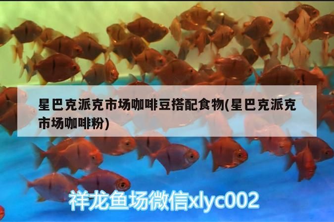 星巴克派克市場咖啡豆搭配食物(星巴克派克市場咖啡粉)