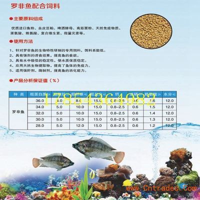 元寶鳳凰能和龍魚混養嗎圖片大全：元寶鳳凰與龍魚混養，可行與否及觀賞之美