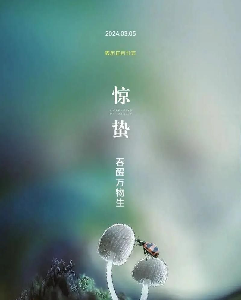 今日驚蟄 龍魚論壇 第4張 今日驚蟄 今日驚蟄 龍魚論壇 第4張