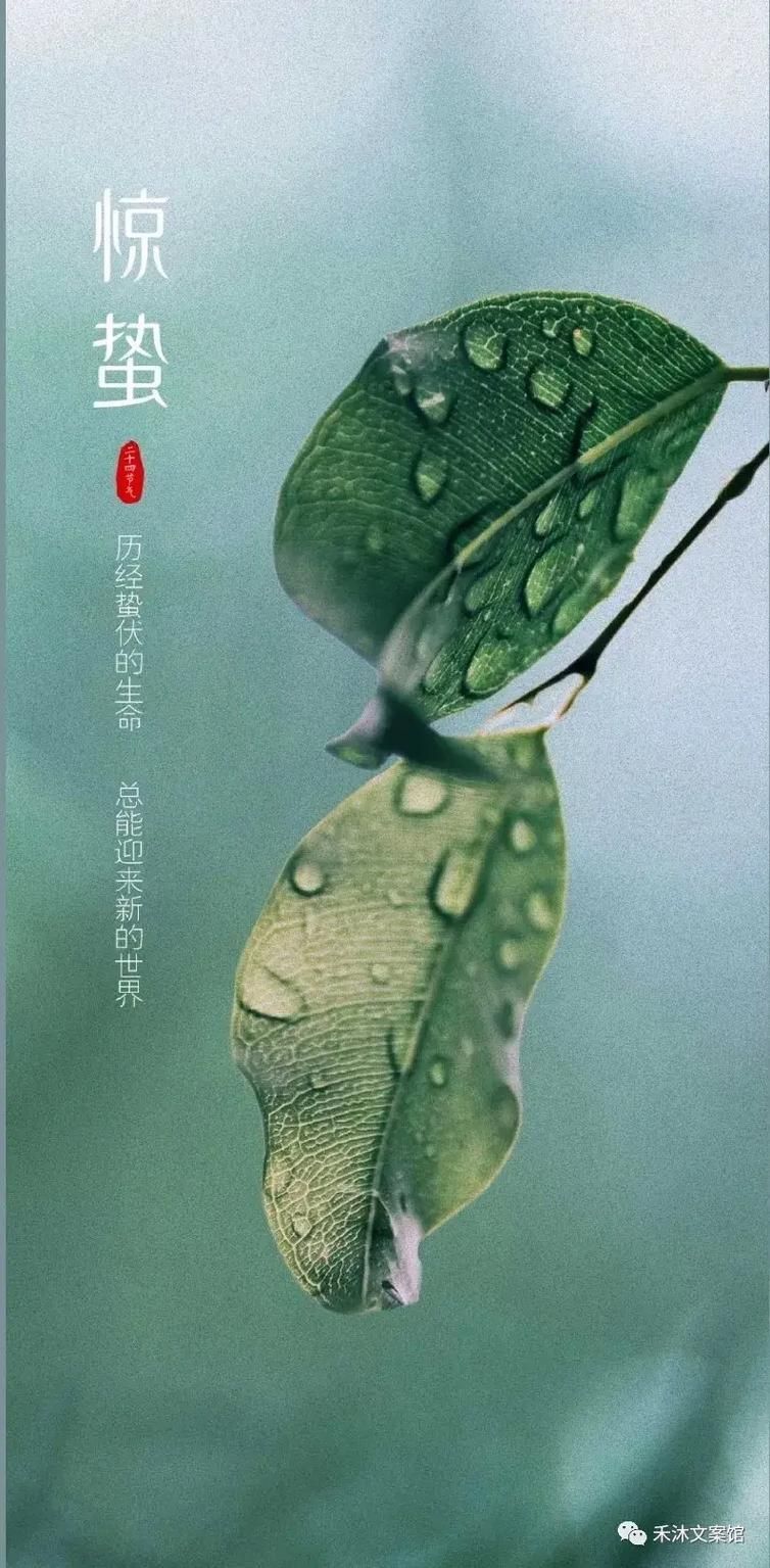 今日驚蟄 龍魚論壇 第5張 今日驚蟄 今日驚蟄 龍魚論壇 第5張