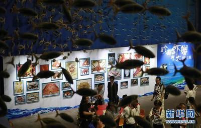水族館屬于什么分類：極地海洋世界特色展覽,水族館科研項目案例分析 水族館屬于什么分類：極地海洋世界特色展覽,水族館科研項目案例分析 水族館百科（水族館加盟） 第5張