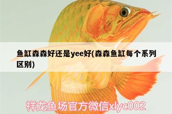 魚缸森森好還是yee好(森森魚缸每個系列區別)