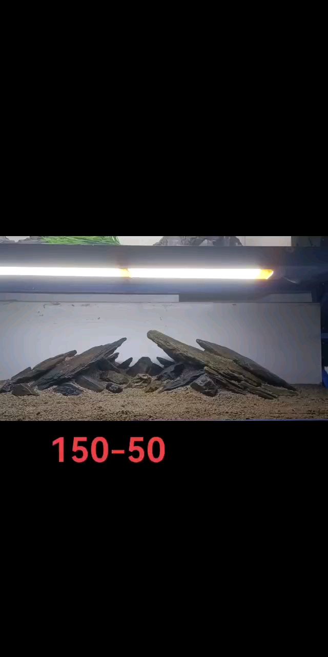 魚缸用增氧泵價格是多少:魚缸增氧機-xtrac增氧機-xtrac增氧機 溪流缸造是 龍魚論壇 溪流缸造是 溪流缸造是 龍魚論壇