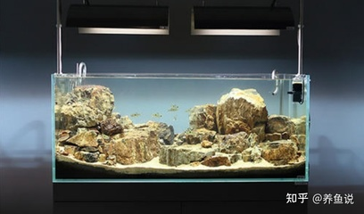 廣州觀賞魚養(yǎng)殖基地有哪些地方（廣州觀賞魚養(yǎng)殖基地有哪些地方好）