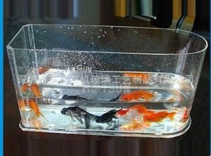 定制金魚缸多少錢一套合適（定制金魚缸價格因素多種因素而異） 定制金魚缸多少錢一套合適（定制金魚缸價格因素多種因素而異） 泗水龍魚 第3張