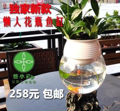 定制金魚缸多少錢一套合適(定制金魚缸價格因素多種因素而異) 泗水龍魚 第4張 定制金魚缸多少錢一套合適(定制金魚缸價格因素多種因素而異) 定制金魚缸多少錢一套合適(定制金魚缸價格因素多種因素而異) 泗水龍魚 第4張
