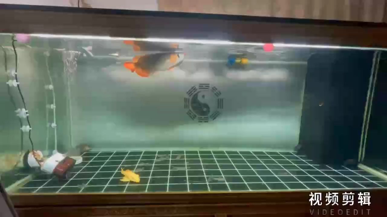 室內陶瓷魚缸圖片大全欣賞：室內陶瓷擺件大全圖 室內陶瓷魚缸圖片大全欣賞：室內陶瓷擺件大全圖 速倍妥