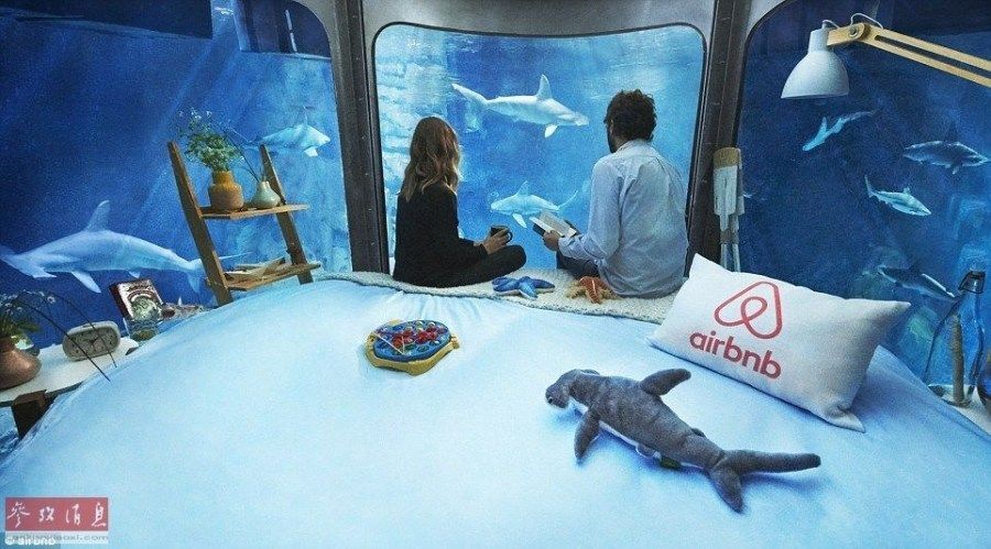 水族館房間（樂山大佛旅游住宿推薦） 水族館房間（樂山大佛旅游住宿推薦） 水族館百科（水族館加盟） 第1張