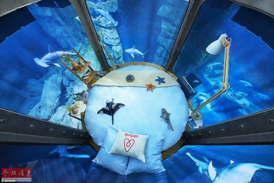 水族館房間（樂山大佛旅游住宿推薦） 水族館房間（樂山大佛旅游住宿推薦） 水族館百科（水族館加盟） 第2張